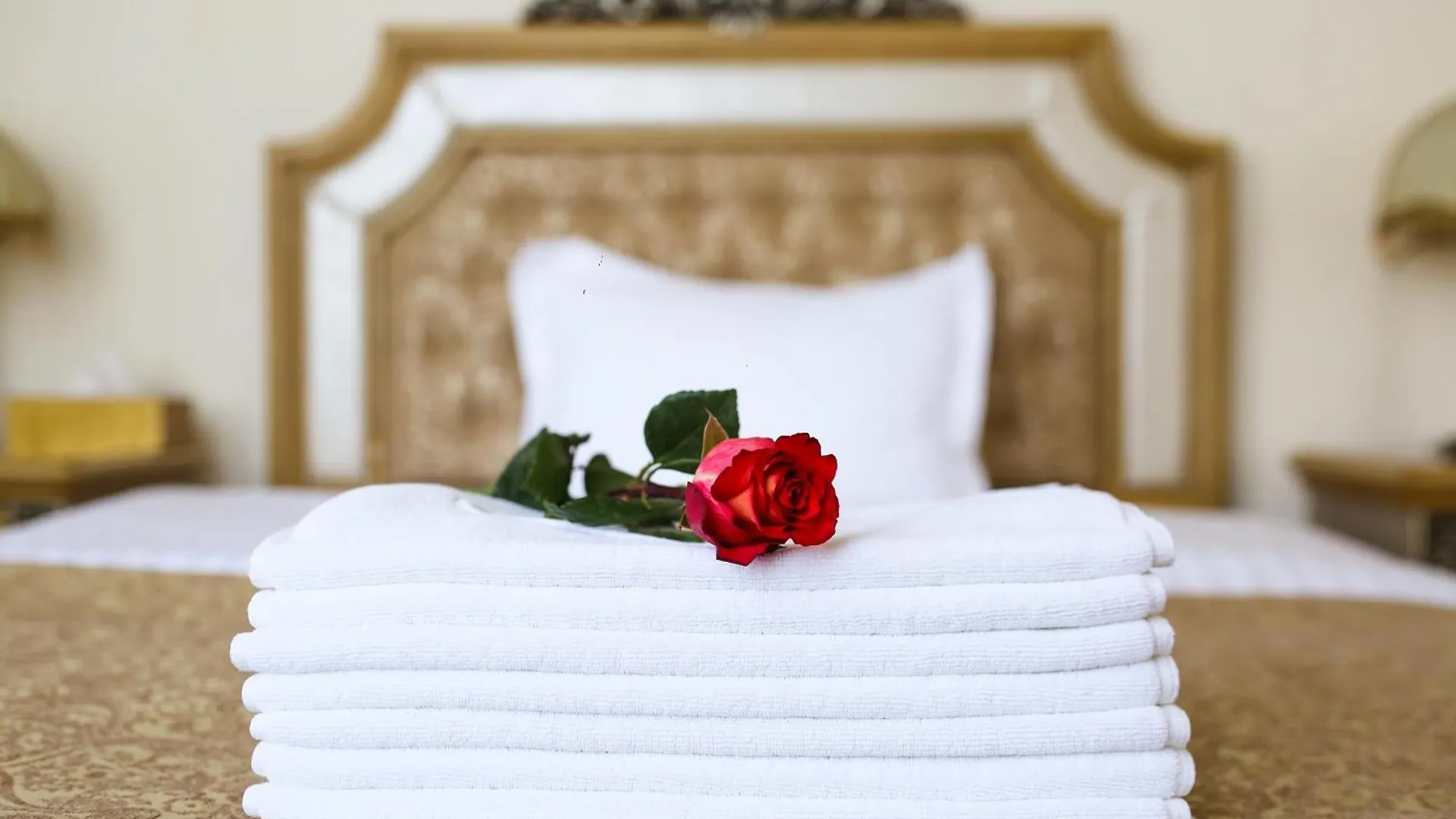 Visak Hotel Kiev Ucraina